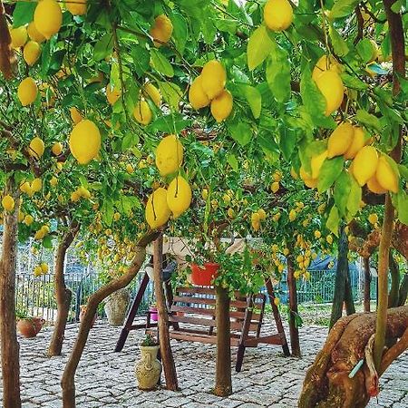 미노리 Il Limoneto Degli Angeli 빌라 외부 사진