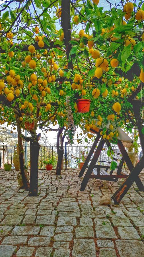 미노리 Il Limoneto Degli Angeli 빌라 외부 사진