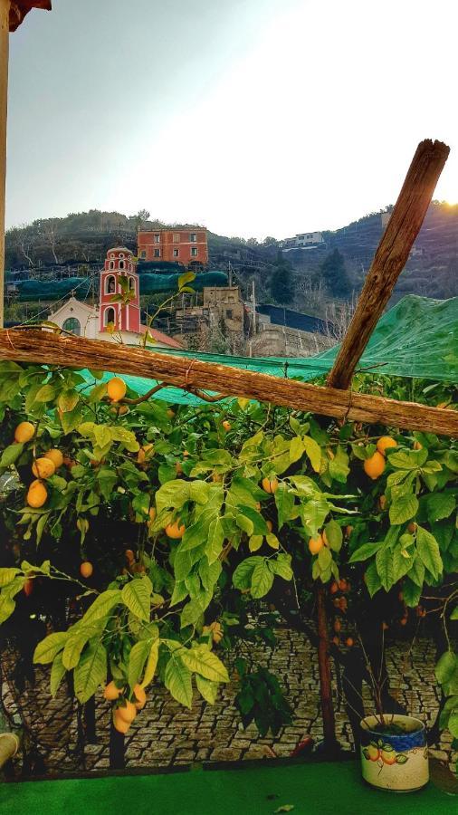 미노리 Il Limoneto Degli Angeli 빌라 외부 사진