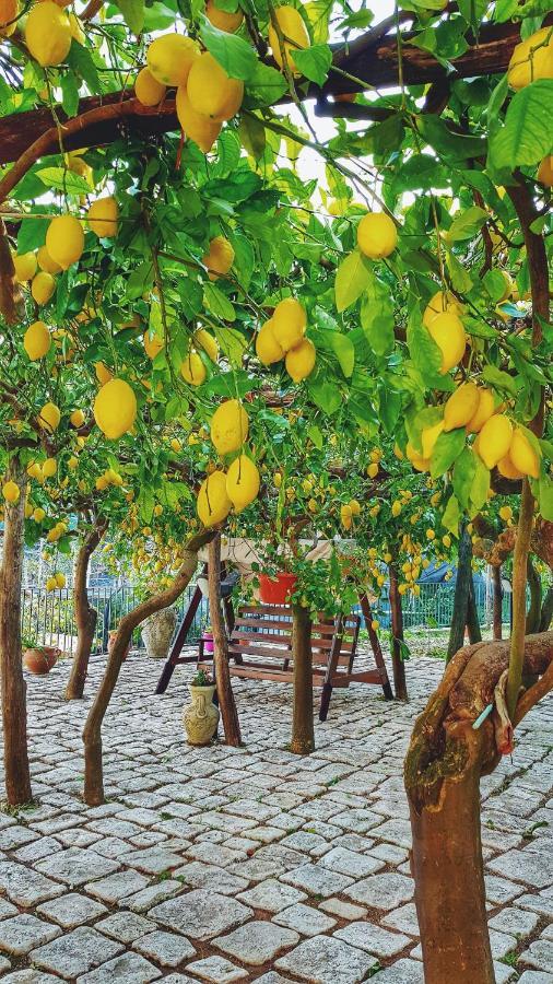 미노리 Il Limoneto Degli Angeli 빌라 외부 사진