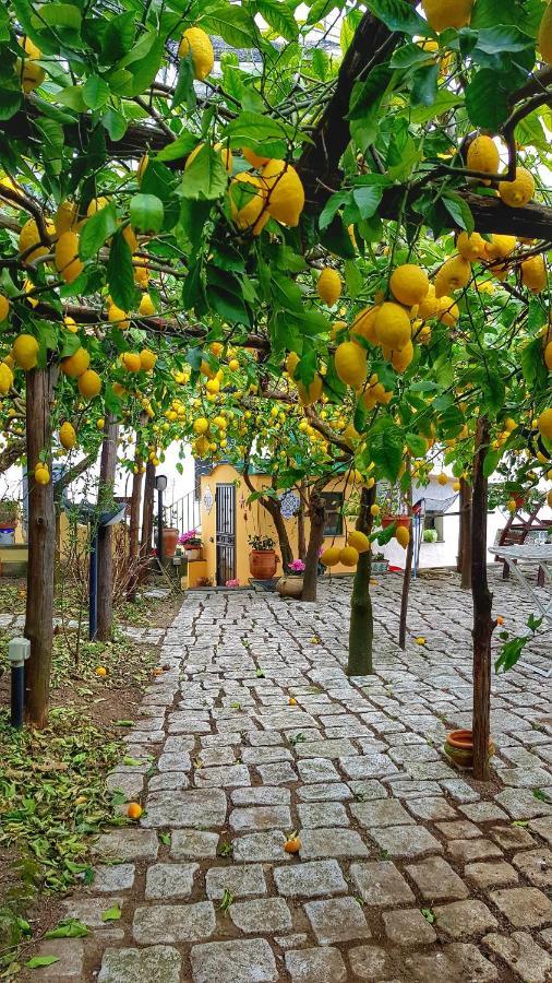 미노리 Il Limoneto Degli Angeli 빌라 외부 사진