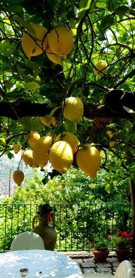 미노리 Il Limoneto Degli Angeli 빌라 외부 사진