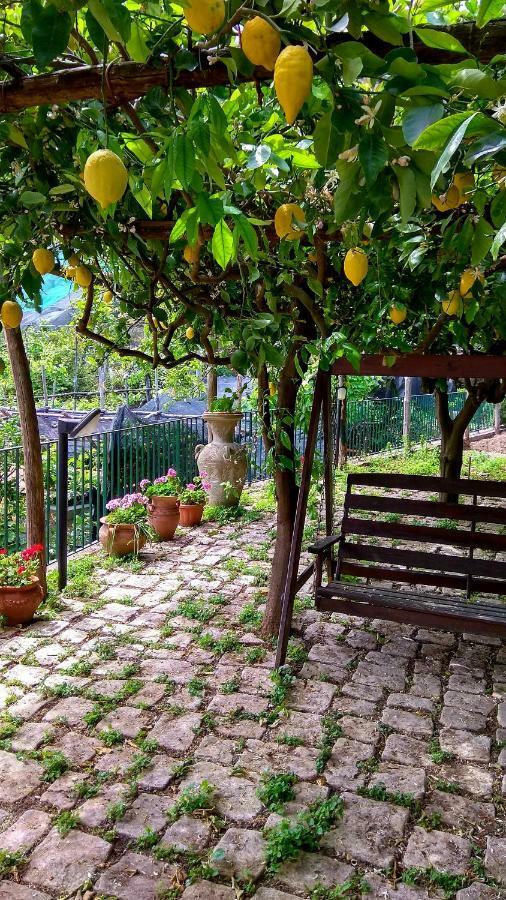 미노리 Il Limoneto Degli Angeli 빌라 외부 사진